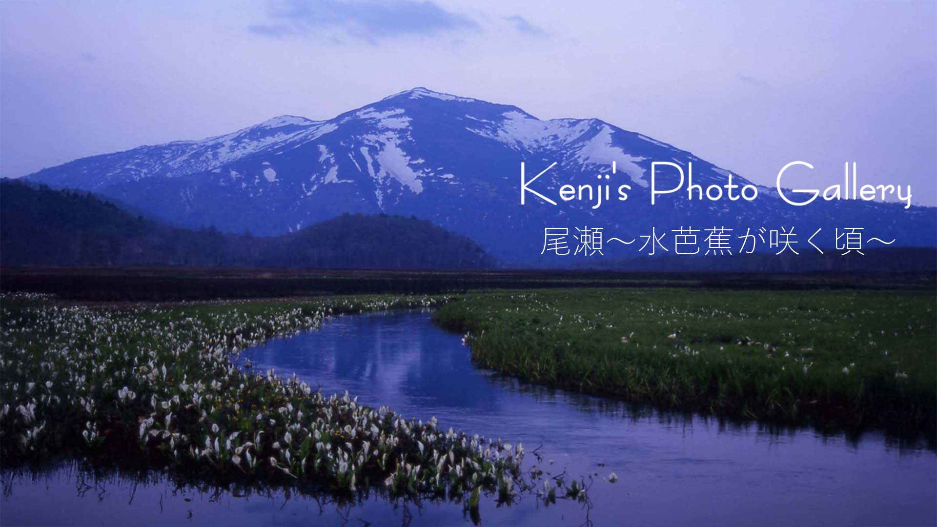 尾瀬　～水芭蕉が咲く頃～