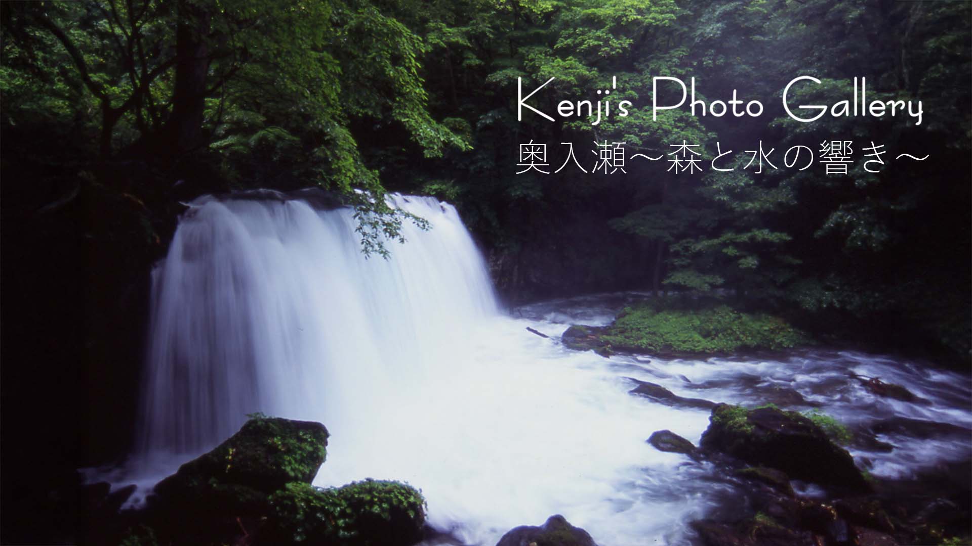 奥入瀬　～森と水の響き～